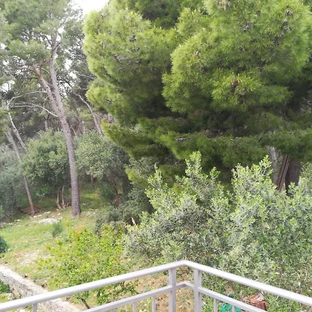 Domenico - 50 M From The Sea