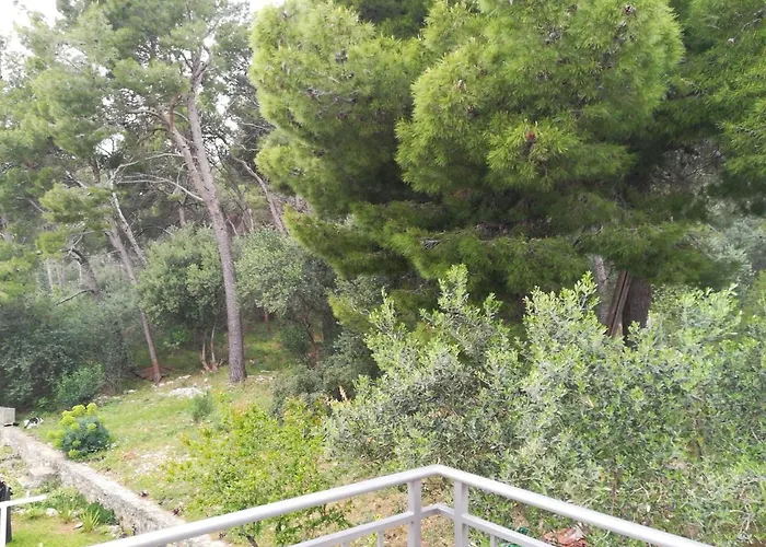 Domenico - 50 M From The Sea